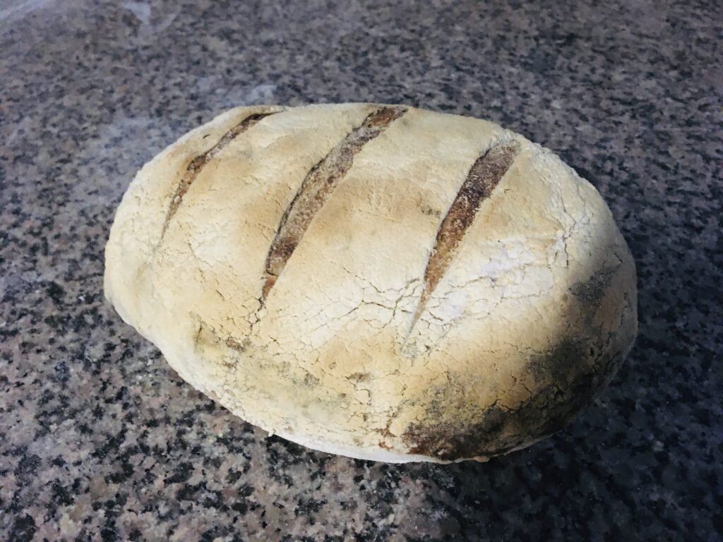 first sourdough bread