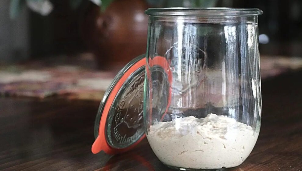 Revive dried sourdough starter: Tips and Tricks to Bring Back Your ...