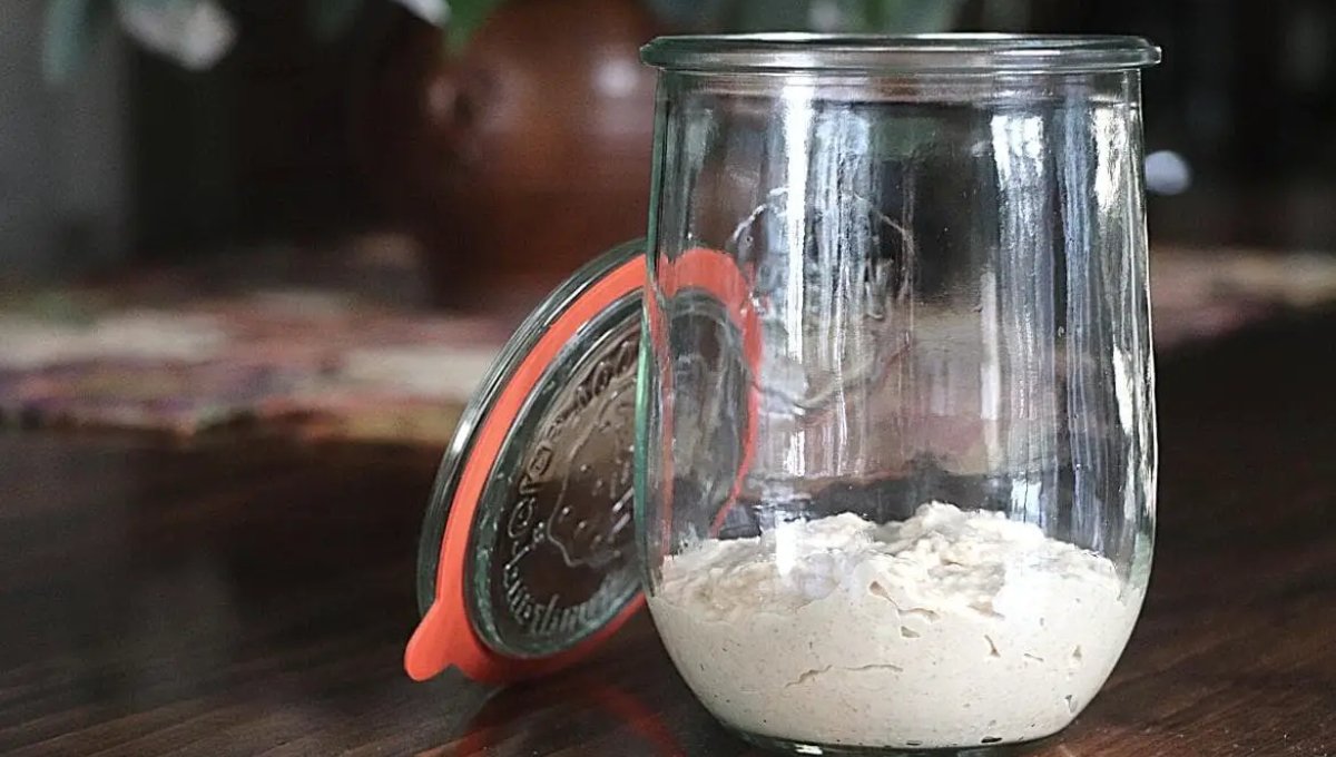Revive dried sourdough starter: Tips and Tricks to Bring Back Your Sourdough: Step-by-Step Guide