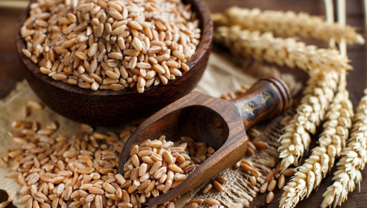 Whole Spelt: Benefits and Uses in Home Baking